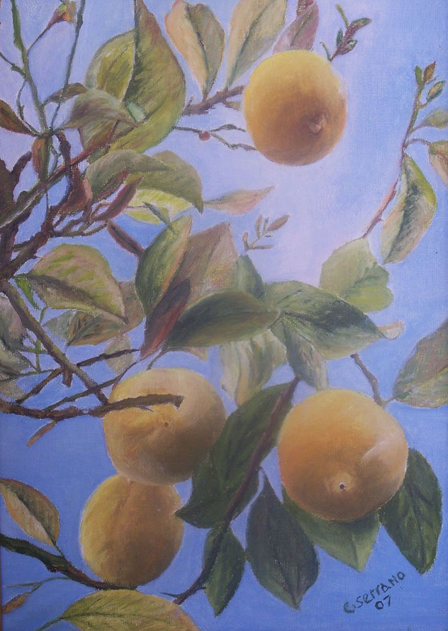 LIMONES