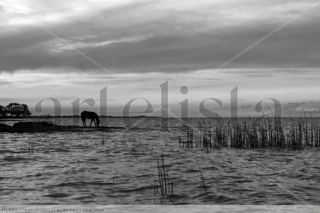 Tristezas de Atalaya 2 Viajes Blanco y Negro (Digital)