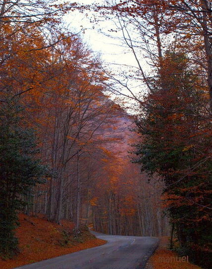Otoño