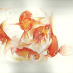 Acuabeas thumbnail 1