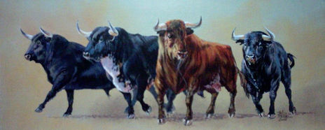 Manada de Toros