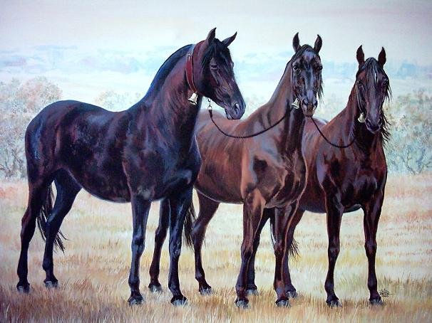 Caballos Acrylic Canvas Animals