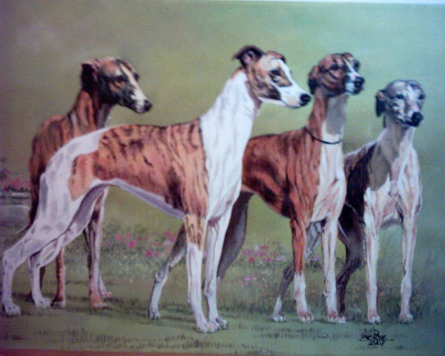 Galgos Acrílico Lienzo Animales