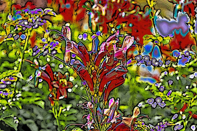 Primavera Nature Color (Digital)