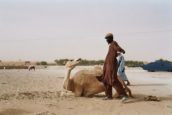 Mauritania Viajes Color (Química)