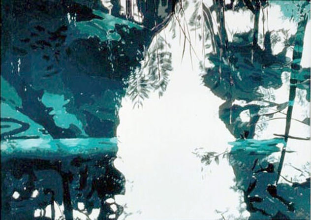 Reflejo sobre el estanque