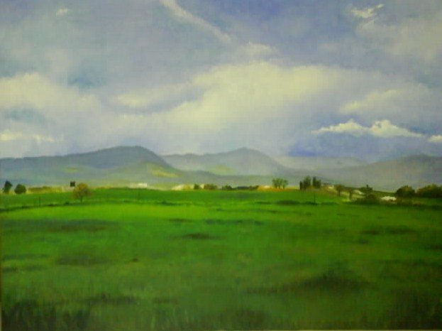 Campo Oil Canvas Landscaping