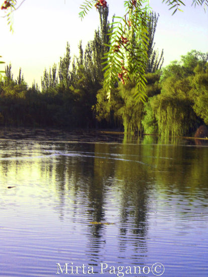 Mendoza 2 Naturaleza Color (Digital)