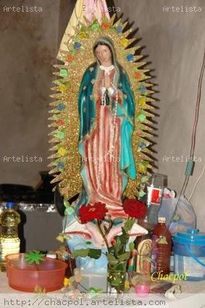 Guadalupe 293