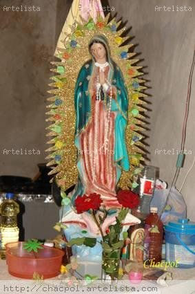 Guadalupe 293