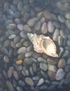 CARACOLA