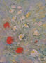 AMAPOLAS