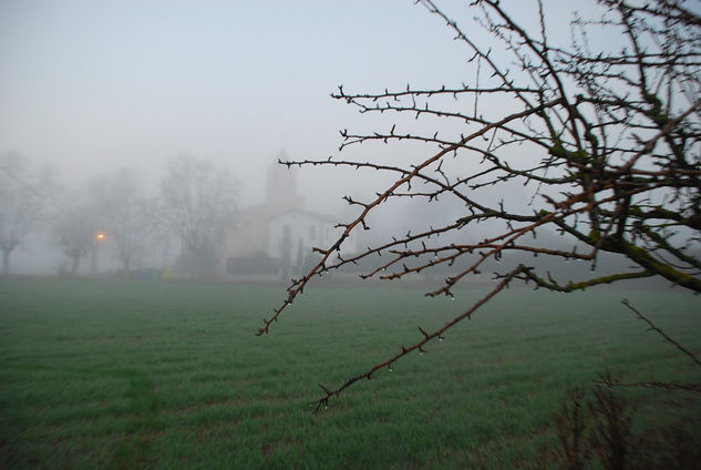 Niebla en la Rectoria 