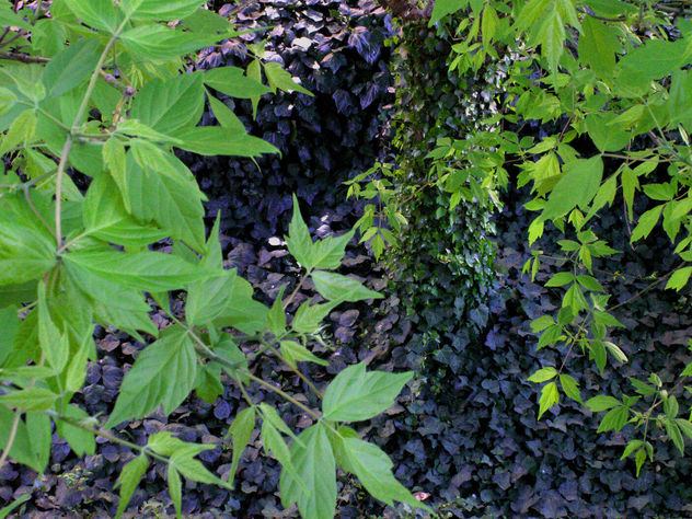 gama de verdes