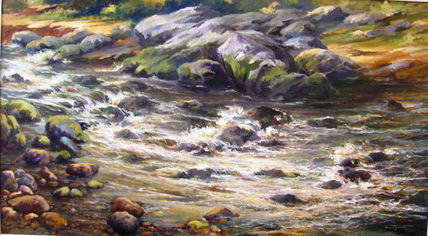 Riachuelo agitado