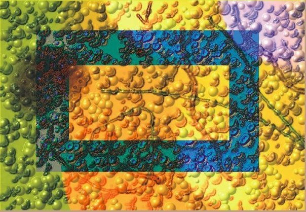 Prefiero tu traje de colores