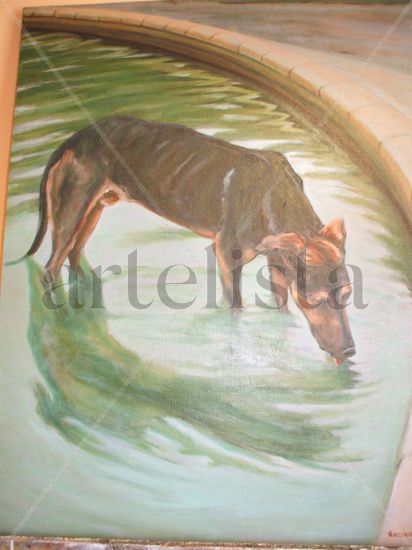 perro callejero en la fuente Oil Canvas Animals