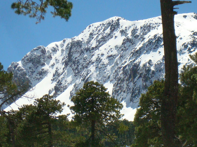 Nevado de toluca 