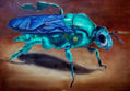 bicho verde