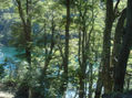 Lago Escondido 2 Barioloche