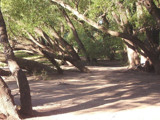 Acostados sobre el río 