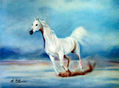 caballo blanco