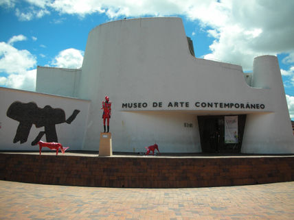 Camilo torres expuesto