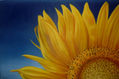 cuarto de sol