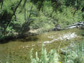 Arroyo de montaña Bariloche
