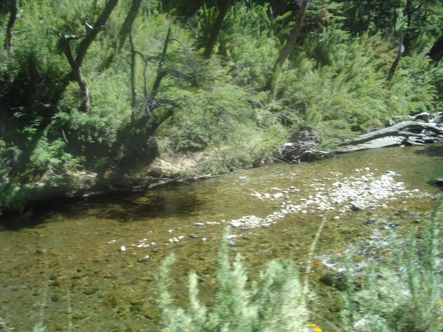 Arroyo de montaña Bariloche