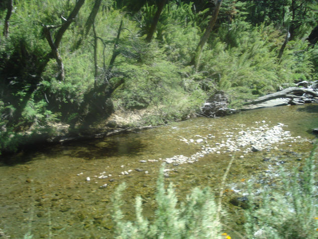 Arroyo de montaña Bariloche Nature Color (Digital)