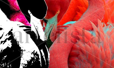 EL COLOR DE AMOR