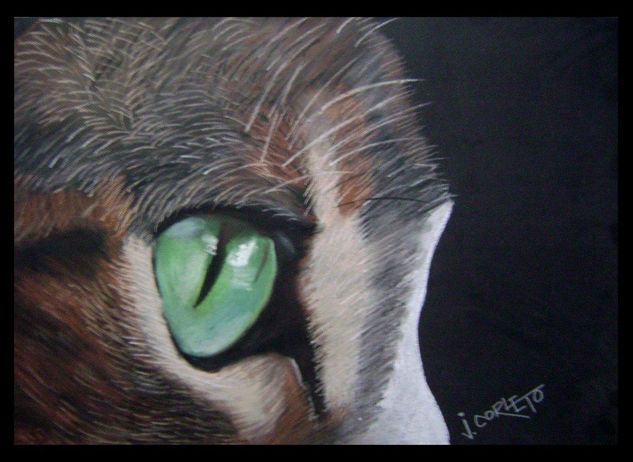 OCELOTE Pastel Paper Animals