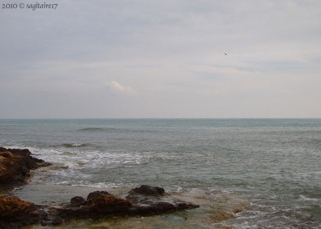 10-02.0009 - Saudade - Febrero 2010 -