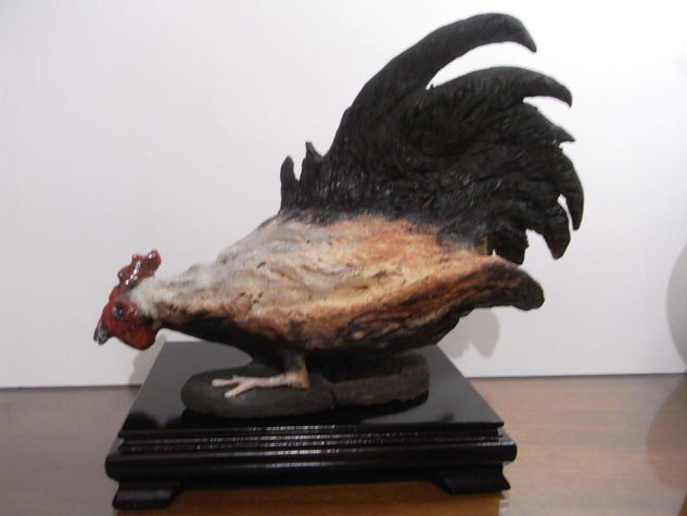 gallo 