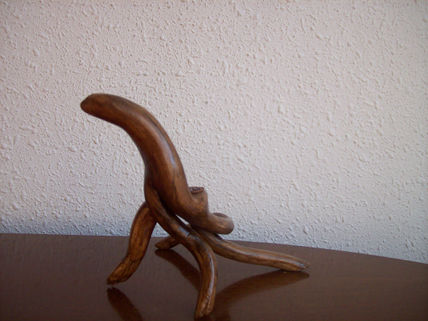 Lagarto