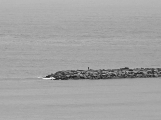 Solitario Viajes Blanco y Negro (Digital)