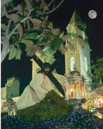 Caído en San Antonio