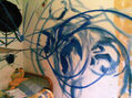 fases