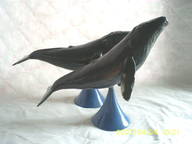 Ballena Jorobada