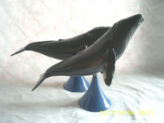 Ballena Jorobada 