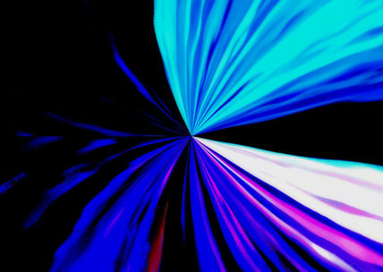 Flor a la luz de la...