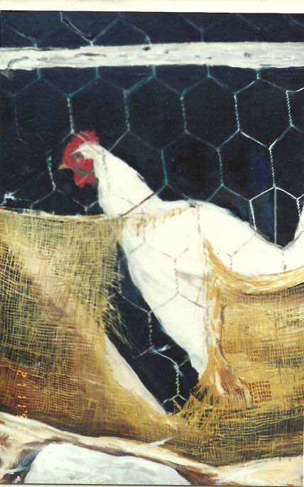 Gallinero