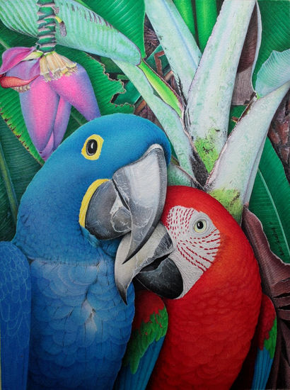 guacamayas2 Watercolour Paper Figure Painting