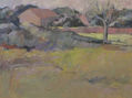 paisaje3
