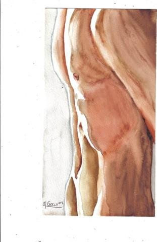 "Nude Male II" Acuarela Papel Desnudos