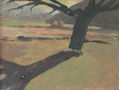 paisaje4