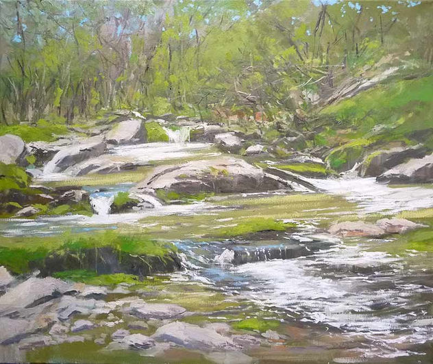 EL RÍO MANZANARES EN LA PEDRIZA