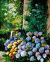 HORTENSIAS
