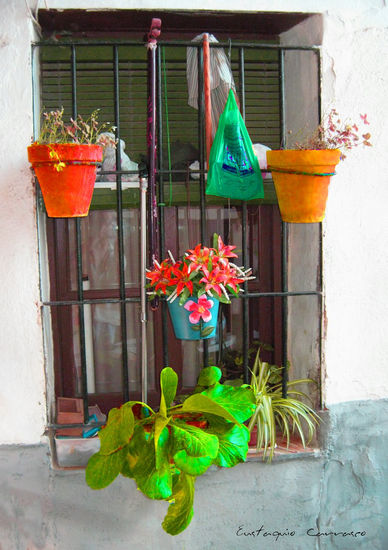 Elementos y mazetas colgados en la ventana Otras temáticas Color (Digital)